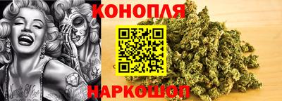 индика Гуково
